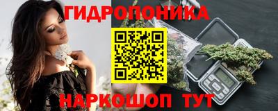 скорость Дубна