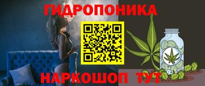 скорость Дубна